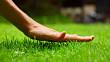 Zelený ráj po celý rok: Kompletní roční průvodce péče o váš vysněný trávník