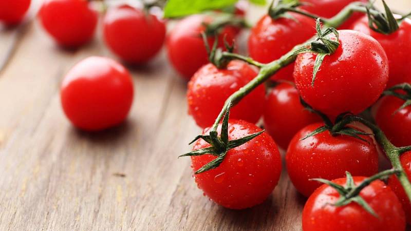 Pro spoustu lidí jsou cherry rajčata chutnější, než typická velká rajčata