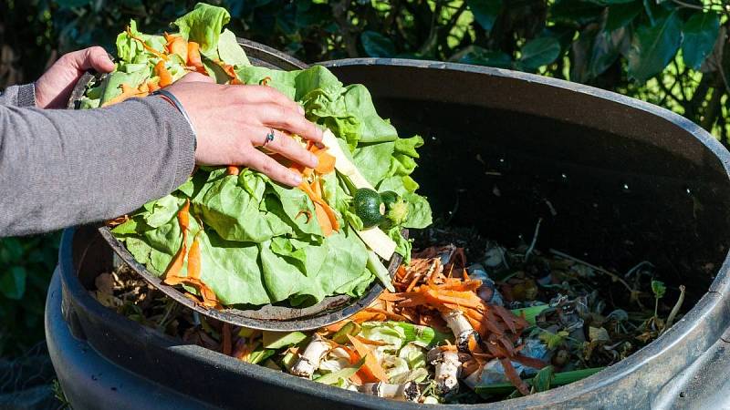 Do kompostu určitě patří skořápky, zbytky ovoce nebo zeleniny, rozhodně ne chleba či popel