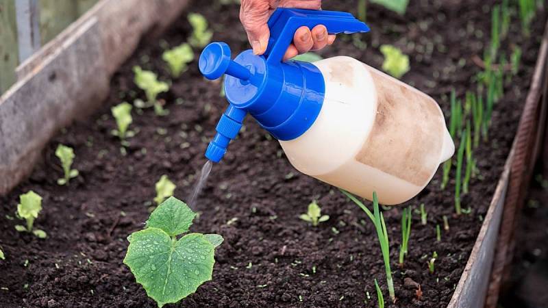 Díky správnému složení hnojiva můžete mít bohatou úrodu