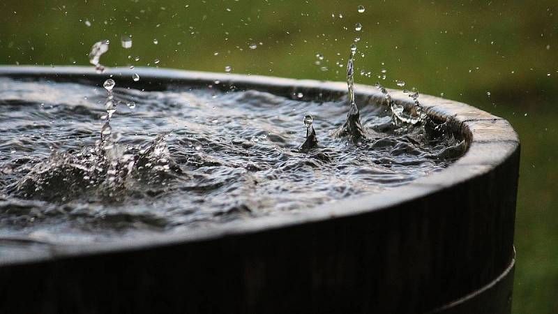 Bylinky zalévejte nejlépe dešťovou vodou.