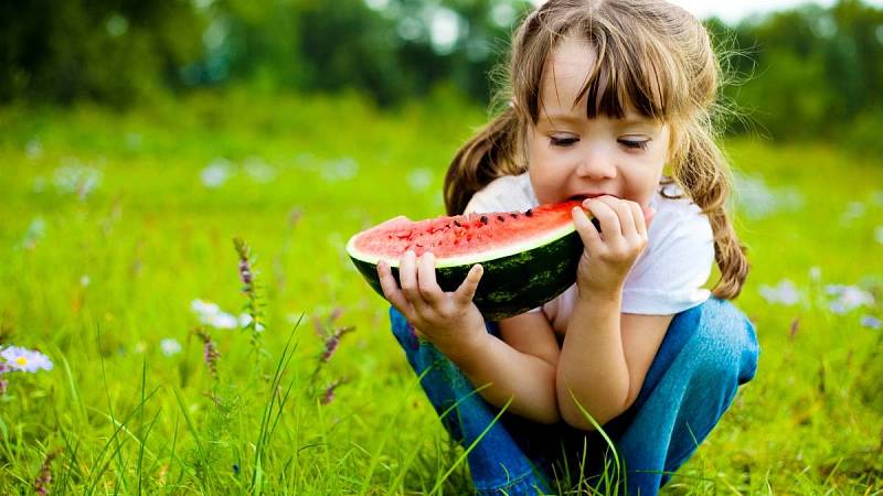Meloun je ideální ovoce na léto nejen pro děti