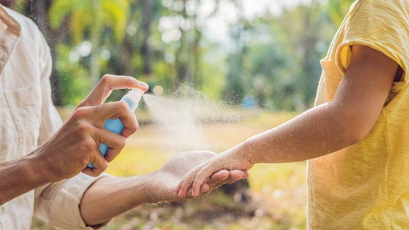 Komáři jsou velmi otravný hmyz, dávat pozor si musíte hlavně v přírodě