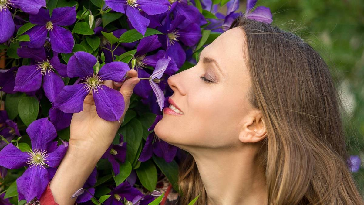 5 krásně kvetoucích rostlin ozdobí vaše zahrady a balkony během června