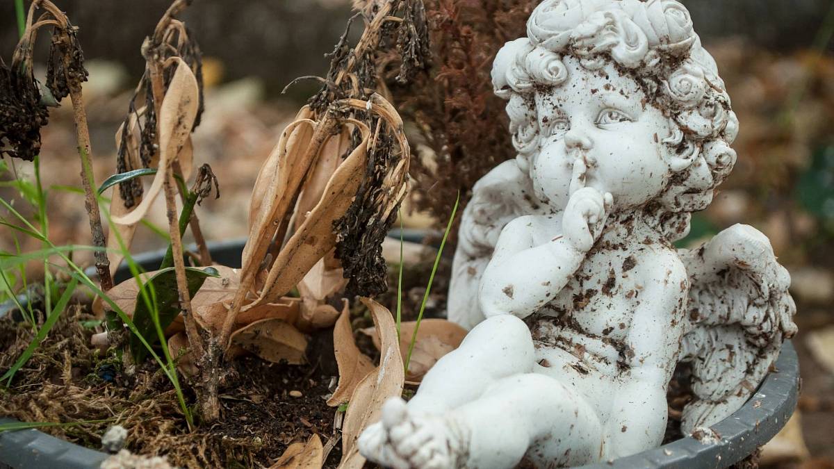 Andělský víkendový horoskop: Raci se stáhnou do ústraní kvůli strachu, Býky budou trápit myšlenky na kvalitu života