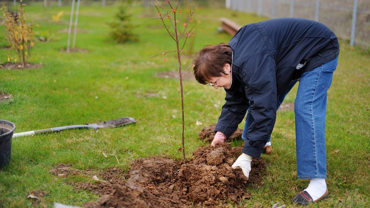 Připravte zahradu na jaro jako profesionálové. Klíčové kroky, které pro bohatou úrodu a krásu můžete udělat už teď