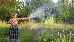 Období sucha může nastat již brzy: Nemusíte svou zahradu zalévat tak často, jak si myslíte. Hlavní je zalévat pořádně