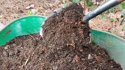 Kompost se na zahradě vyplatí: Jeho výroba je zdlouhavá a má určitá pravidla, naučte se, jak ho vytvořit správně