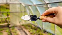 Jak využít jedlou sodu na zahradě: Praktické tipy pro každého zahradníka